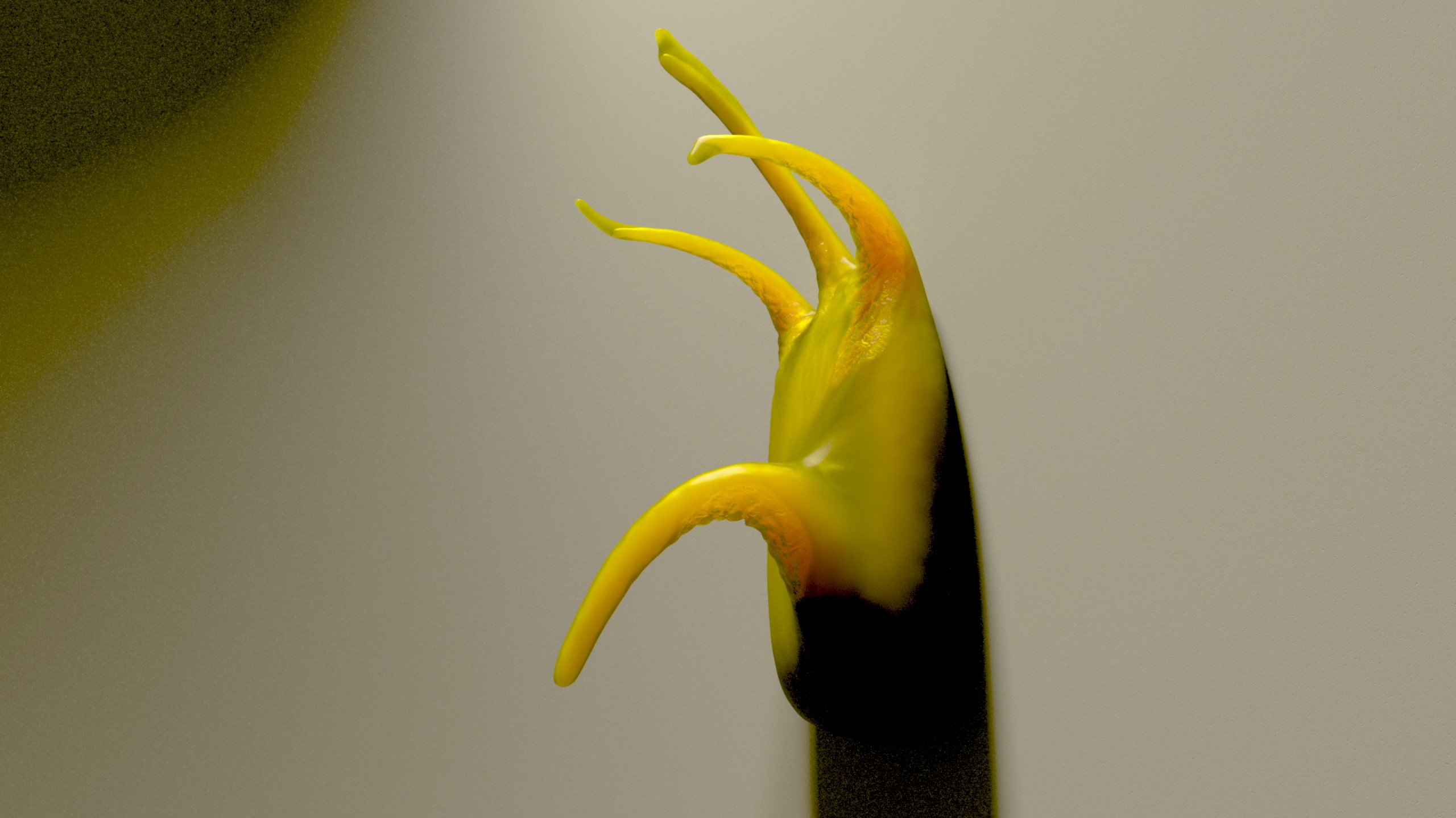Screenshot 2021-05-29 003627